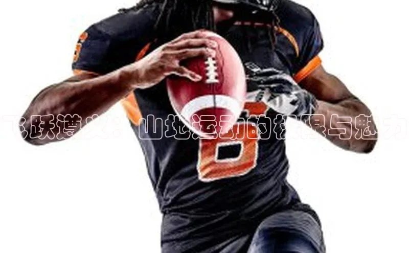 杏耀官网中心百度网盘