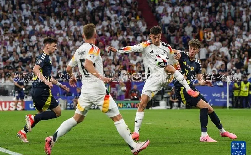 杏耀平台登录入口