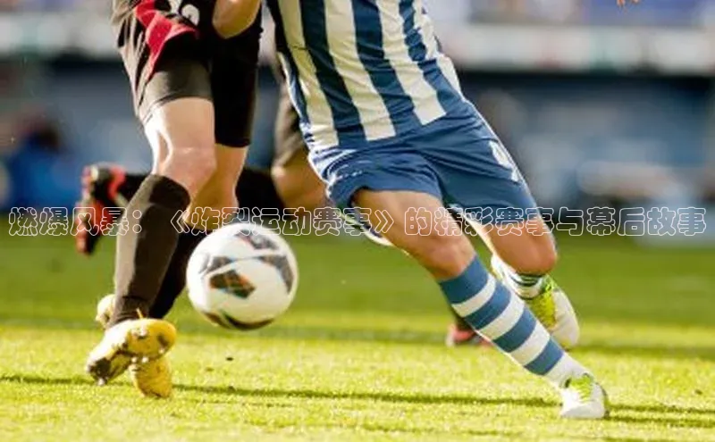 杏耀手机网页版登录